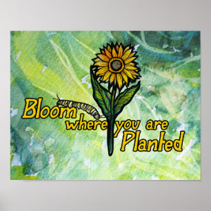Poster Floresça onde você está plantado