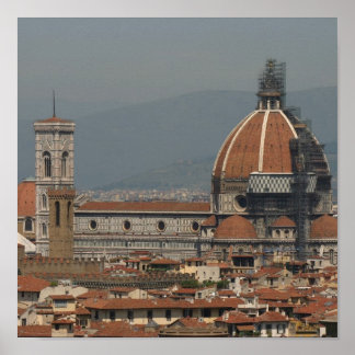 Pôster florescência