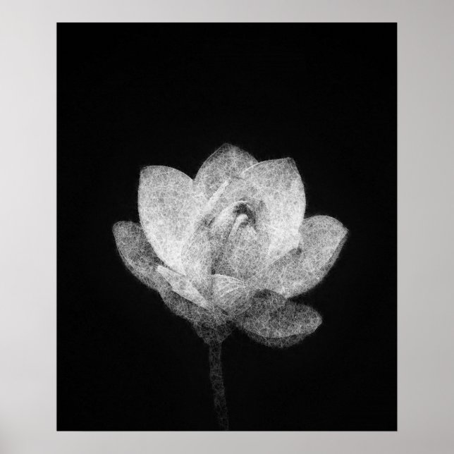 Poster florescente arte de esboços de botões de flores de (Frente)