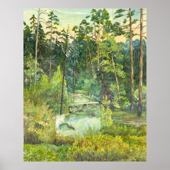 Pôster floresta (Frente)
