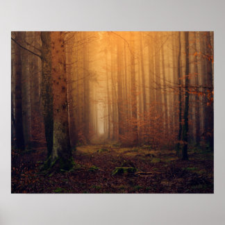 Poster Floresta