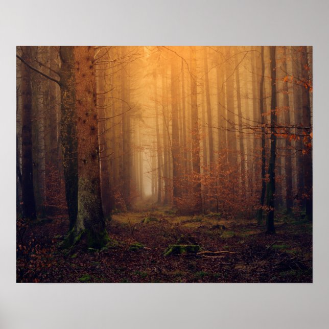 Poster Floresta (Frente)
