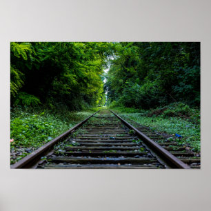 Poster floresta abandonada com trilhas de trem
