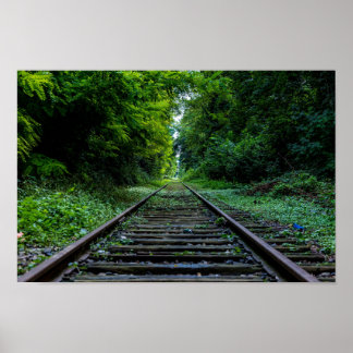 Poster floresta abandonada com trilhas de trem