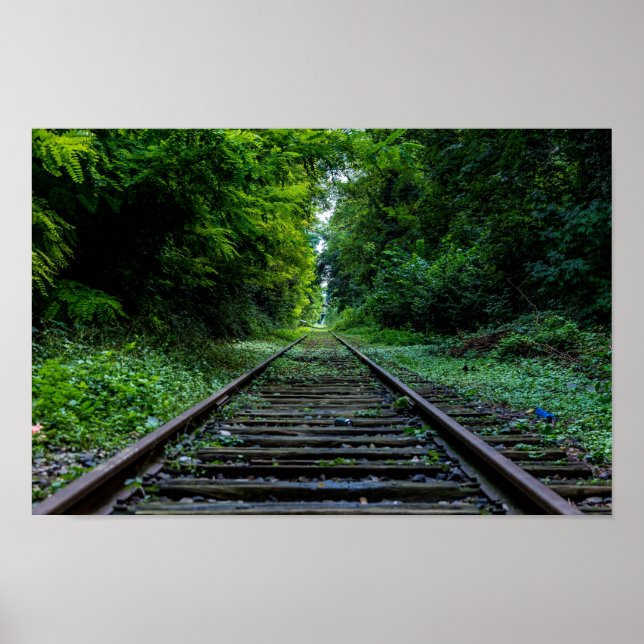 Poster floresta abandonada com trilhas de trem (Frente)