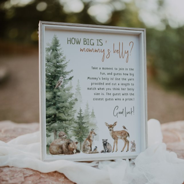 Poster Floresta - Animais De Floresta - Quão Grande É A C (Criador carregado)