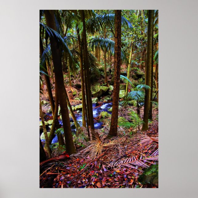 Pôster Floresta Australiana (Frente)