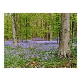 Pôster Floresta azul com flores de campainhas