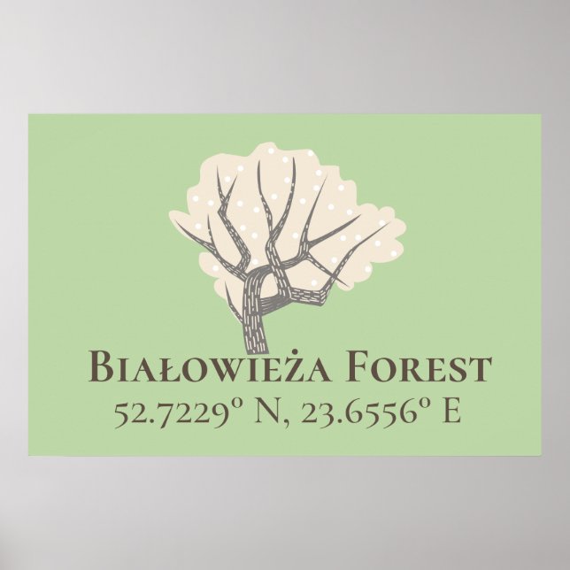 Poster Floresta Białowieża Latitude & Longitude (Frente)