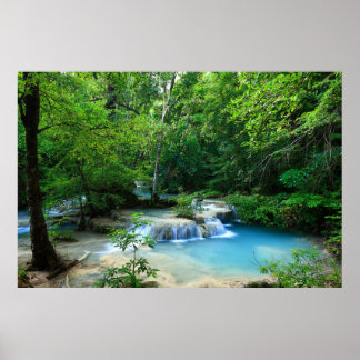 Poster Floresta bonita