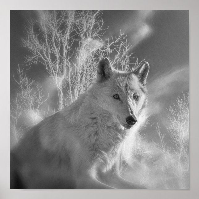POSTER FLORESTA BRANCA DE LOBO BRANCO (Frente)