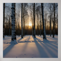 Floresta Coberta De Neve Em Dusk
