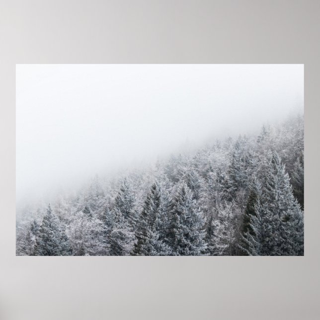 Poster Floresta congelada (Frente)