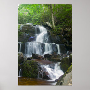 Pôster Floresta da cachoeira do lapso de tempo