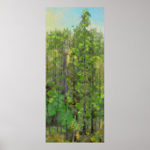Poster Floresta da sequóia vermelha