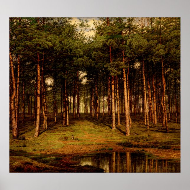 Poster Floresta de Abetos em Putte com Coelhos Jean Lamor (Frente)