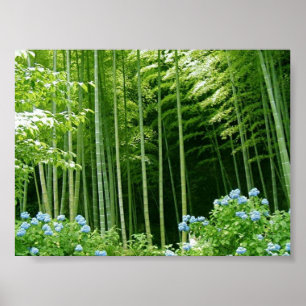 Poster Floresta de bambu