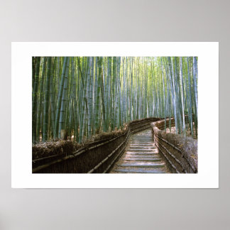 Poster Floresta de Bambu: Kyoto, Japão