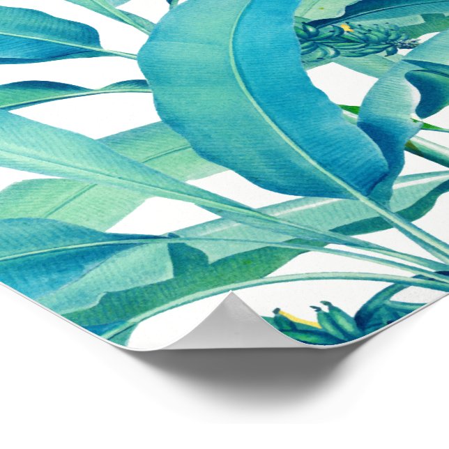 Poster Floresta de Banana (Borda)