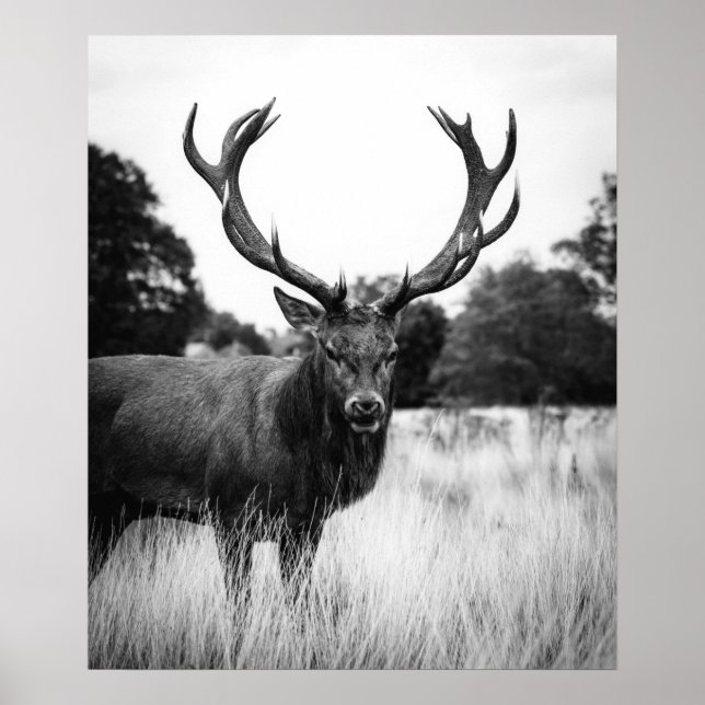 Poster Floresta de Cervejas Brancas Negra (Frente)