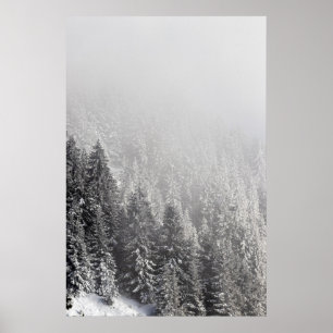 Poster Floresta de espadilha de neve envolta em nevoeiro