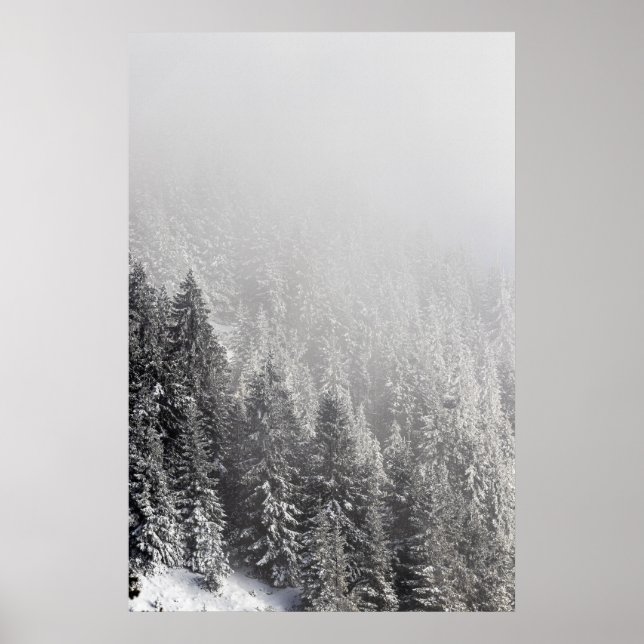 Poster Floresta de espadilha de neve envolta em nevoeiro (Frente)