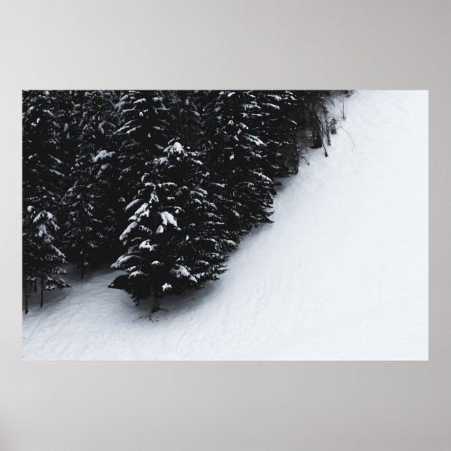 Poster Floresta de espadilha negra e branca e neve (Frente)
