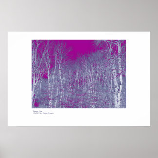 Poster Floresta de Fantasia