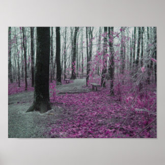 Pôster Floresta de inverno