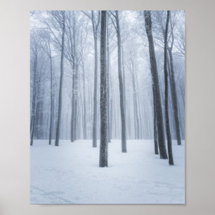 Poster Floresta de inverno congelada