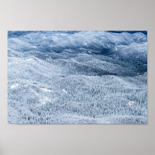 Poster Floresta de inverno sob neve profunda