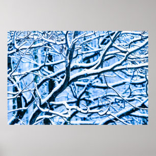 Pôster Floresta de Natal