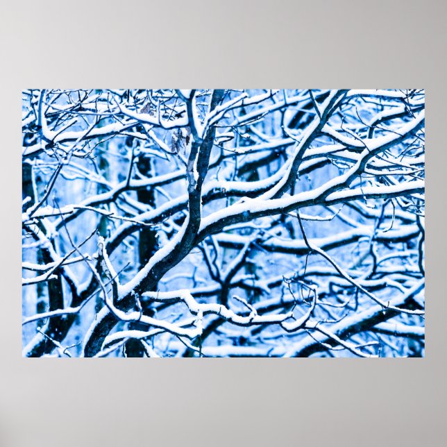 Pôster Floresta de Natal (Frente)