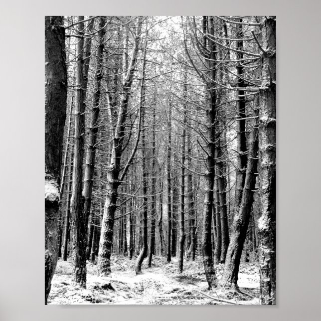 Poster Floresta de neve invernal (Frente)