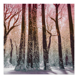 PÔSTER FLORESTA DE NEVE NATUREZA