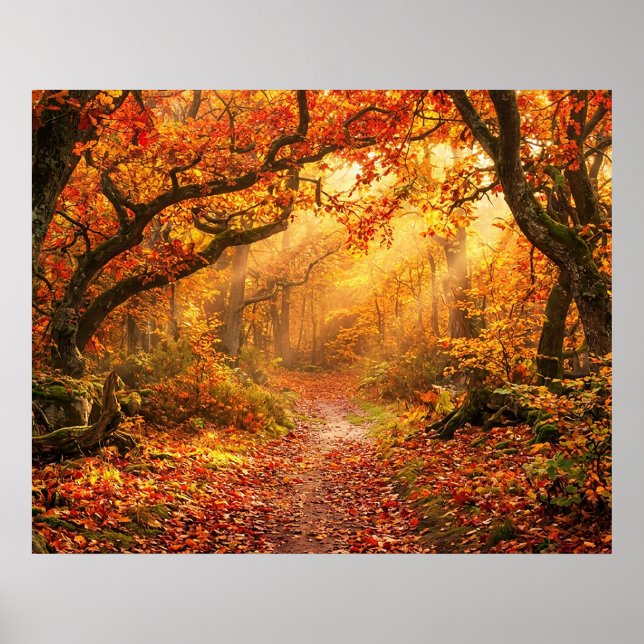 Poster Floresta de Outono (Frente)
