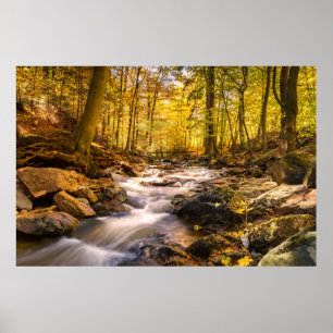 Poster Floresta de outono