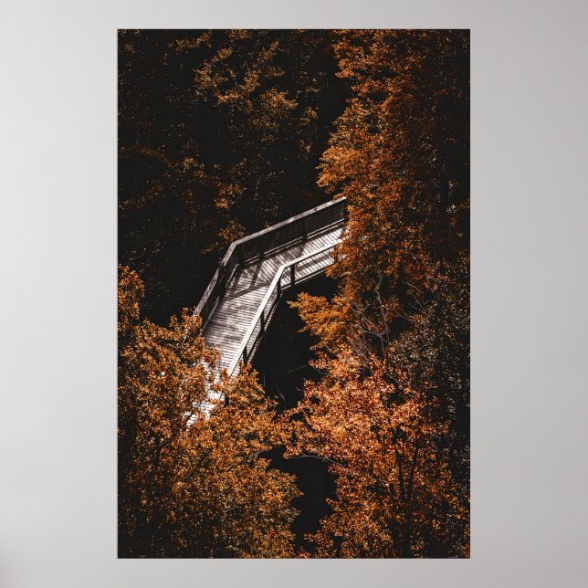 Poster Floresta de outono com Caminho de Madeira (Frente)