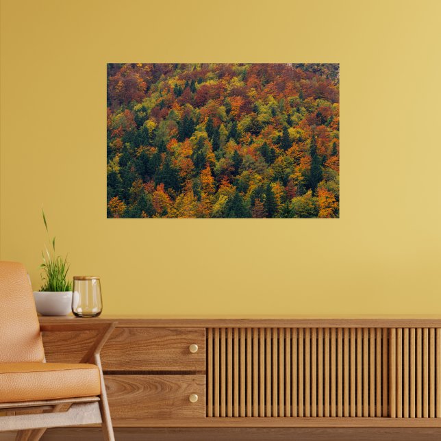 Poster Floresta de outono deslumbrante (Sala de Estar 2)