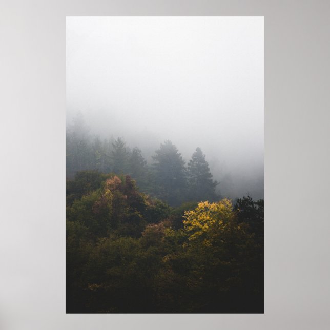 Poster Floresta de outono envolta em nevoeiro (Frente)