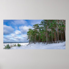 Poster Floresta de pinheiros perto da costa marítima da L