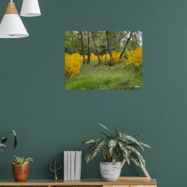 Poster Floresta de primavera em Luxemburgo viagem
