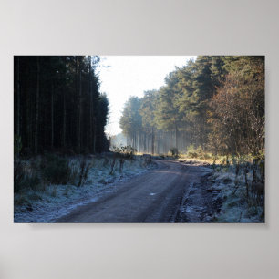 Poster Floresta de Tenttrair