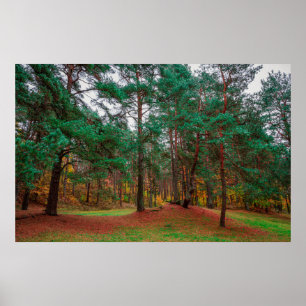 Poster Floresta do outono