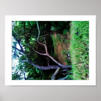 Poster Floresta do rio Sacramento