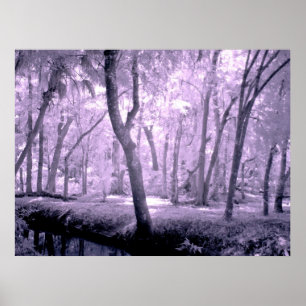 Pôster Floresta do samurai