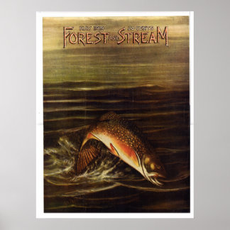 Poster Floresta e Stream de 1919