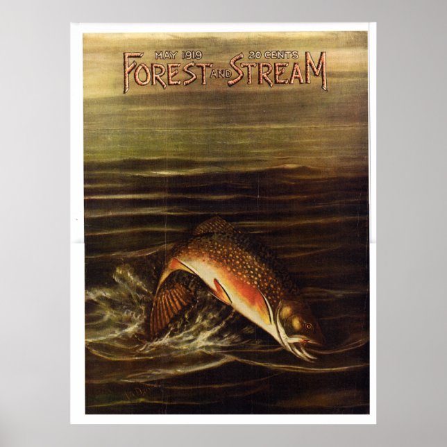 Poster Floresta e Stream de 1919 (Frente)