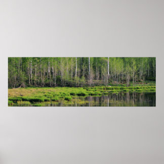 Poster Floresta Emerald