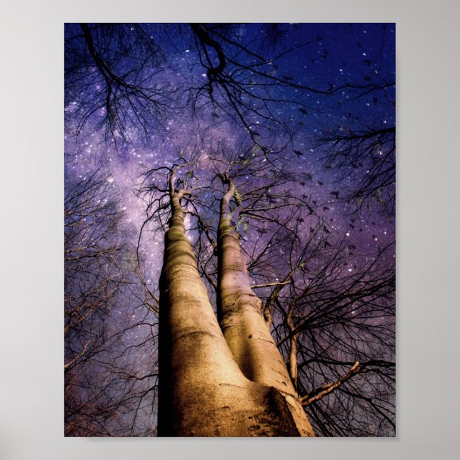 Poster Floresta Encantada (Frente)